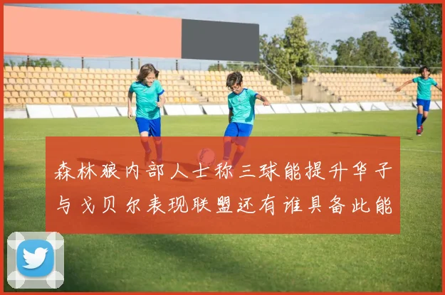 森林狼内部人士称三球能提升华子与戈贝尔表现联盟还有谁具备此能力